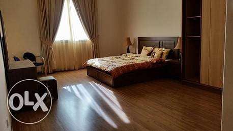 Large 2 bedroom fully/ semi furnished beautiful apartment with balcony 1