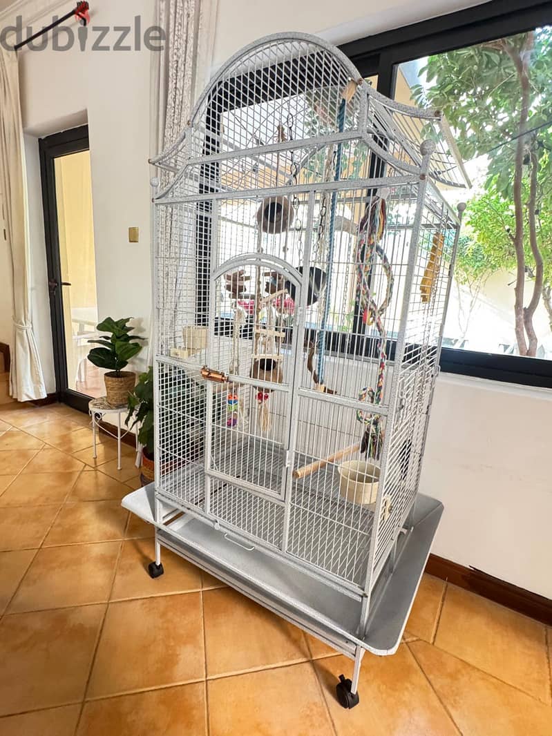 Large Parrot Cage with Stand, Toys & Accessories/ 4