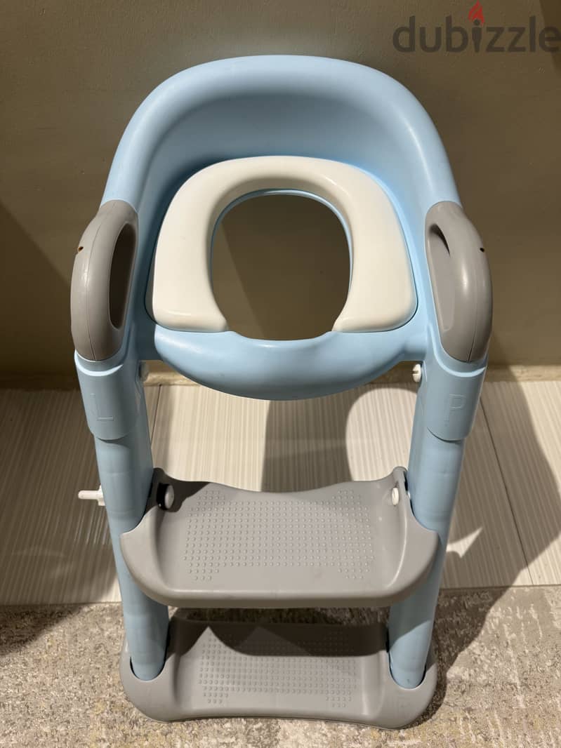 Toilet seat with ladder 1