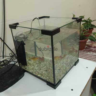 fish aquarium fully set for sale