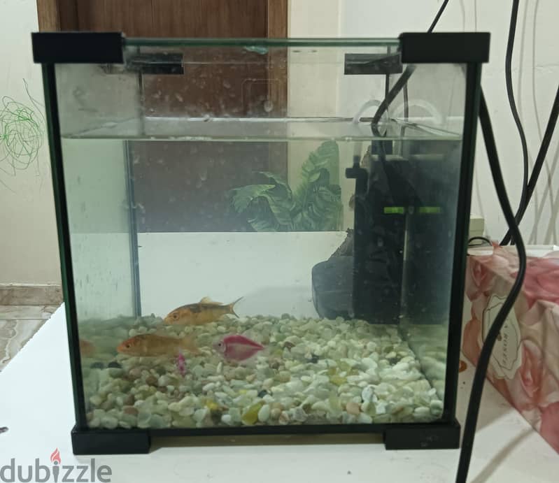 fish aquarium fully set for sale 1