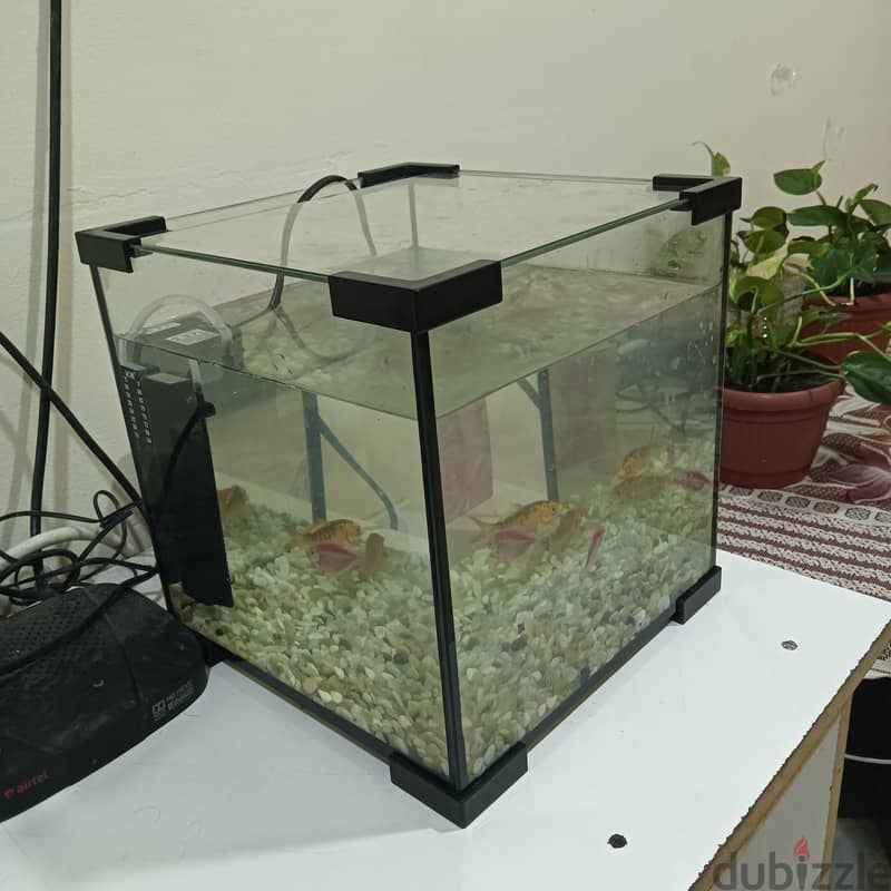 fish aquarium fully set for sale 2