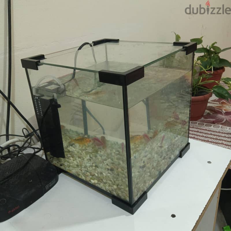 fish aquarium fully set for sale 3