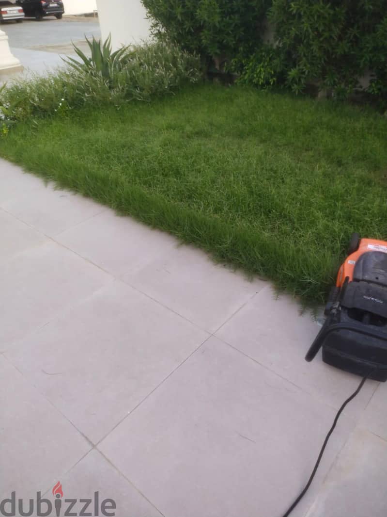 garden maintenance 3