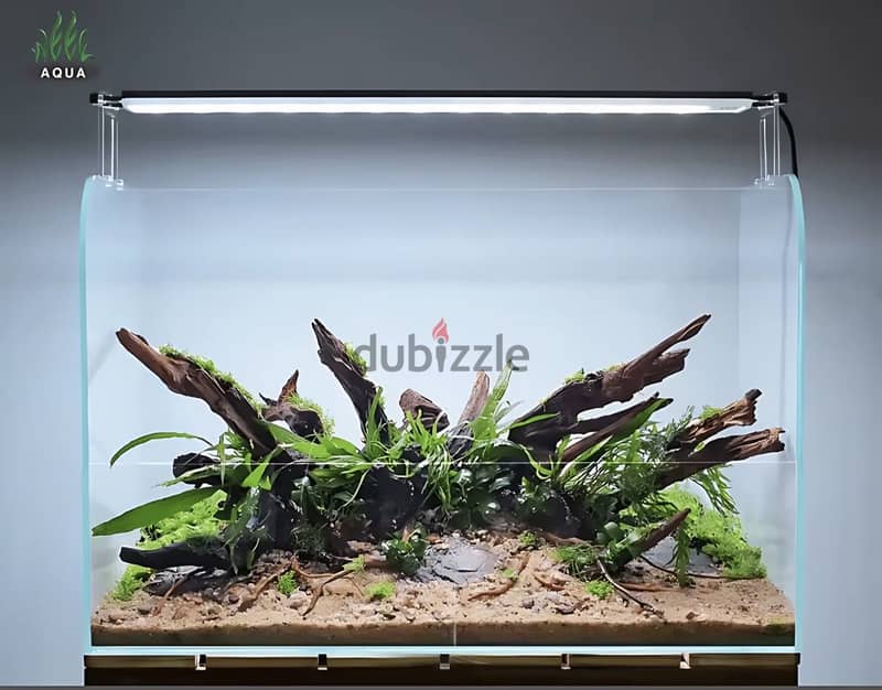 planted aquarium Spectrum light 1