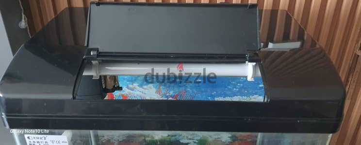 FISH AQUARIUM