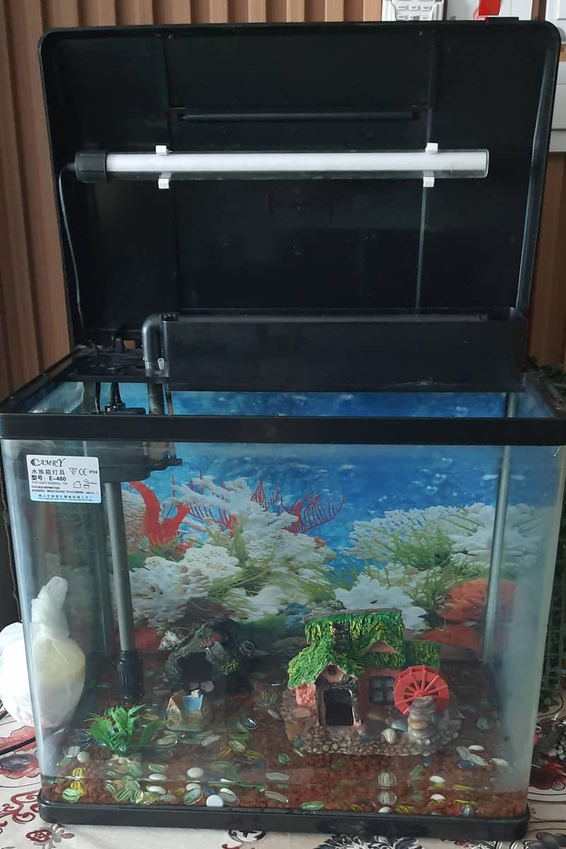 FISH AQUARIUM 1