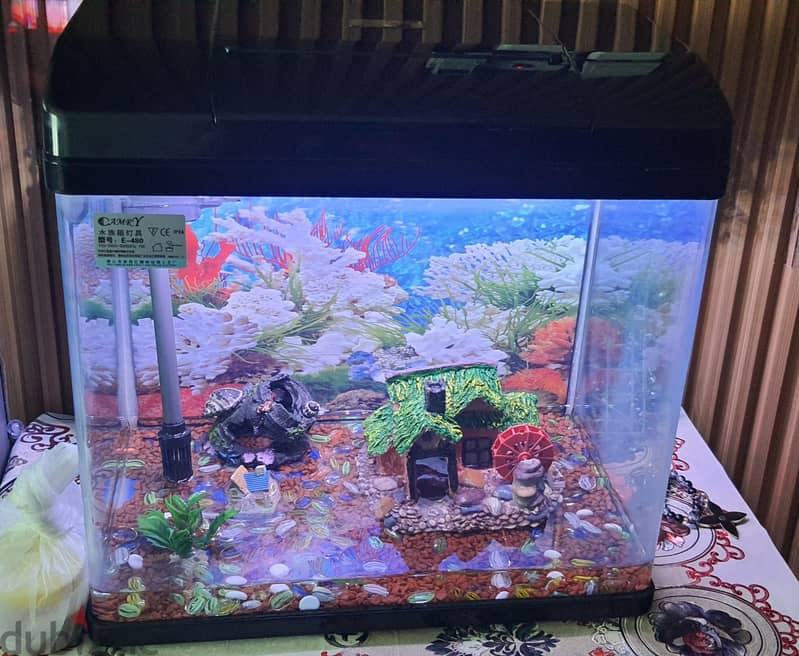FISH AQUARIUM 3
