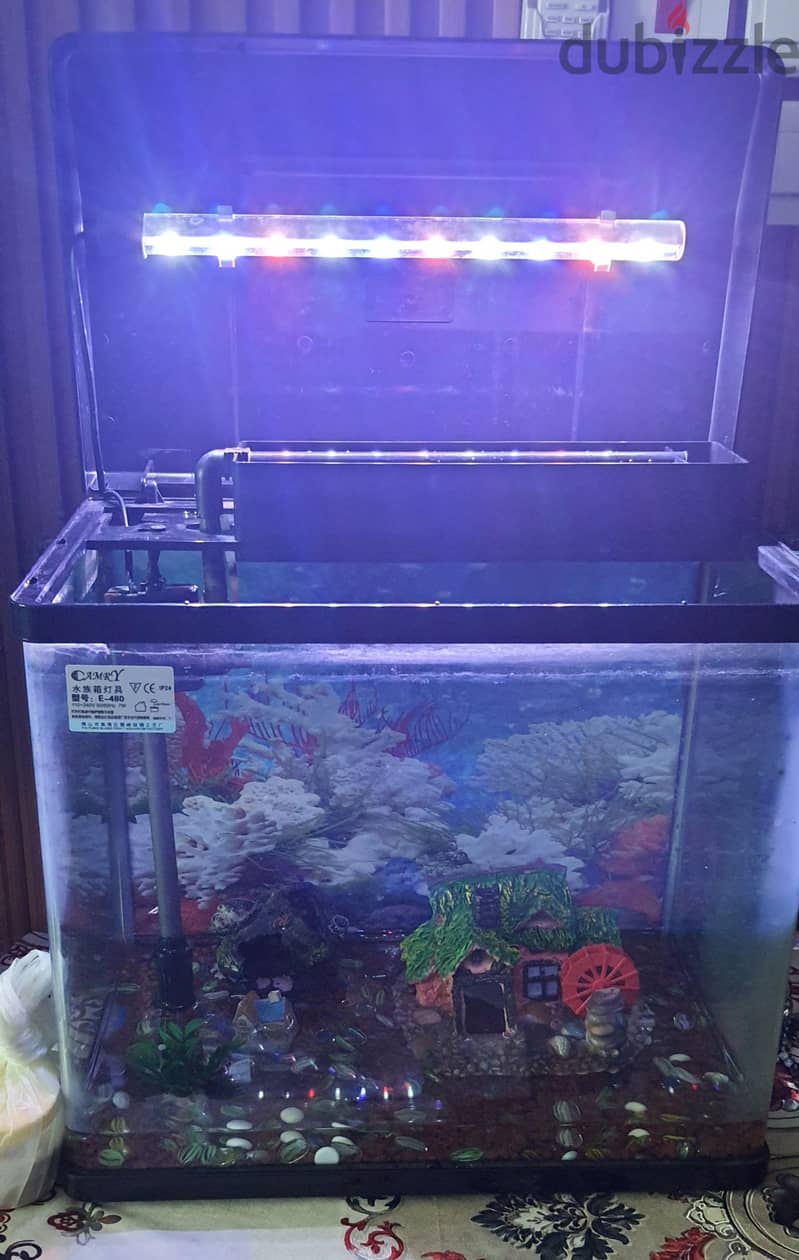 FISH AQUARIUM 4