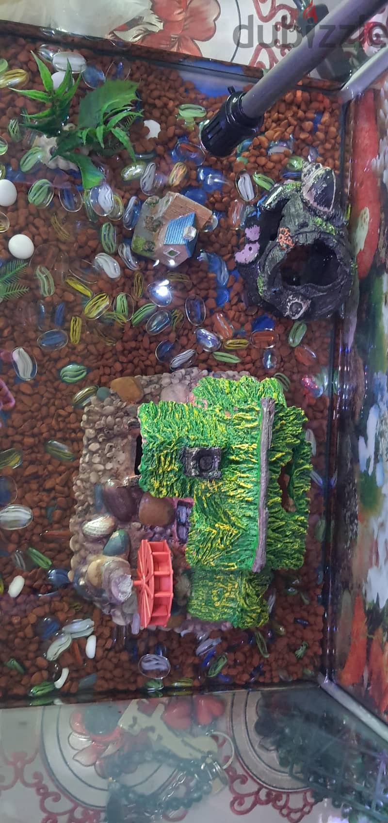 FISH AQUARIUM 7