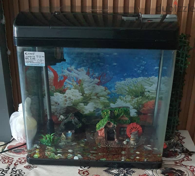 FISH AQUARIUM 8