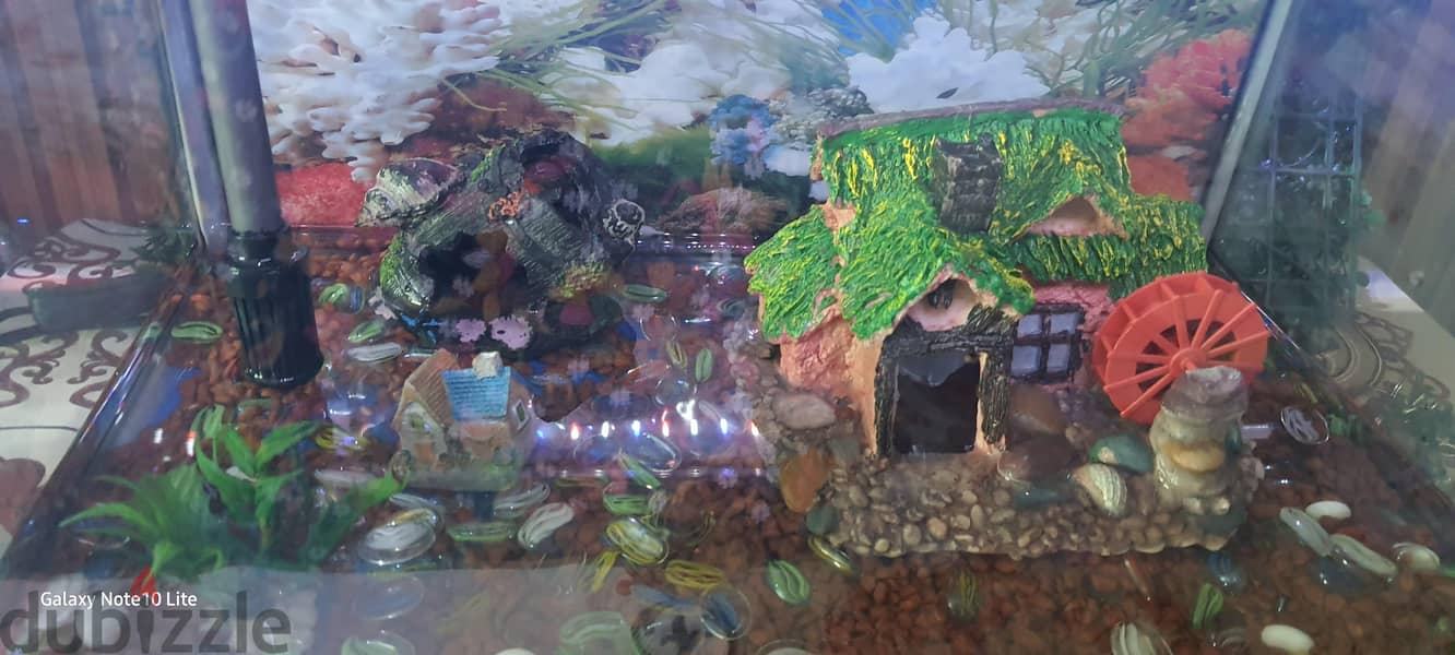 FISH AQUARIUM 9