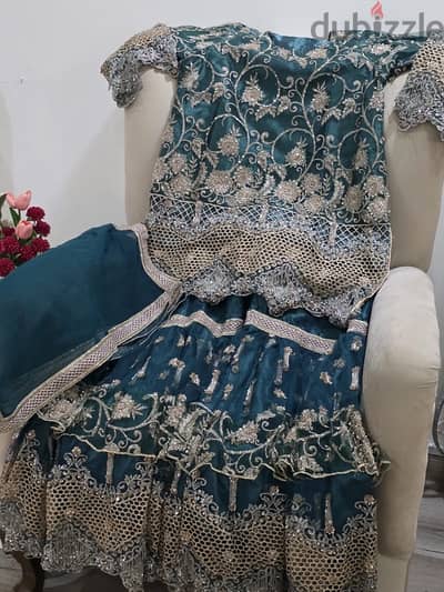 Beautiful pakistani sharara dress