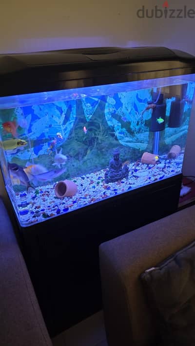Aquarium حوض سمك