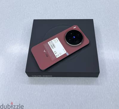 Vivo X300