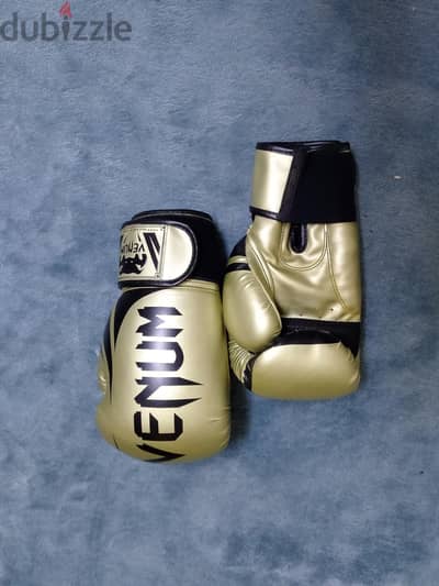 12 oz venom clean boxing gloves
