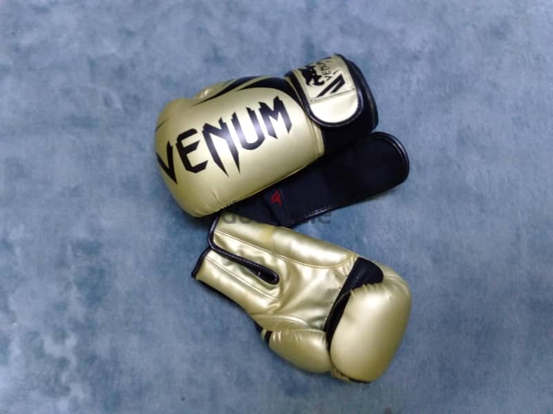 12 oz venom clean boxing gloves 1