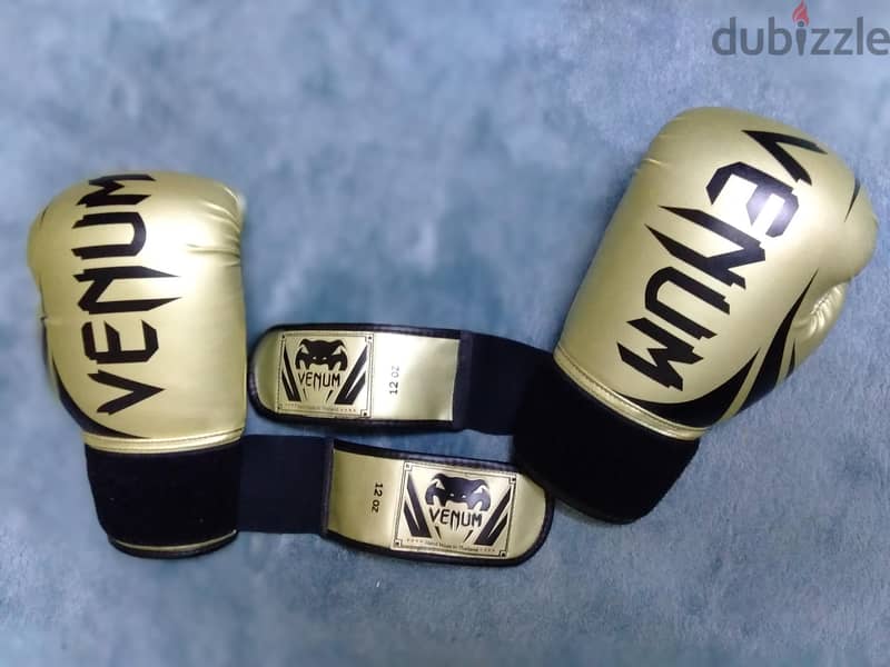 12 oz venom clean boxing gloves 2
