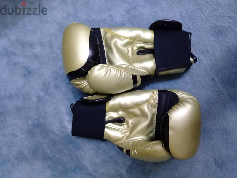 12 oz venom clean boxing gloves 3