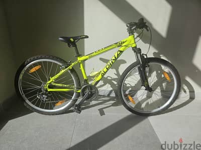 Alpina bike 24''