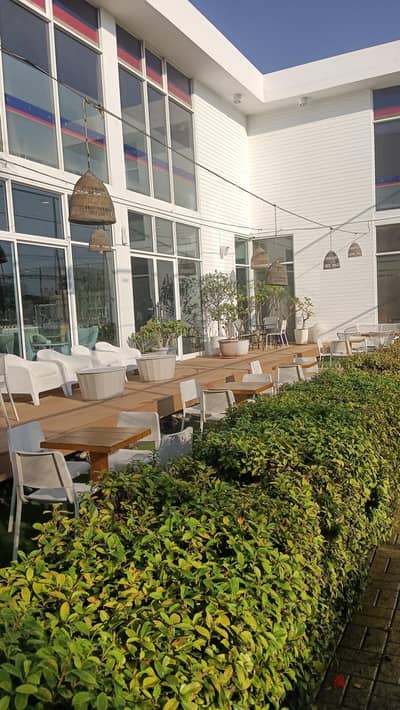garden maintenance