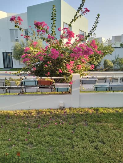 garden mantince