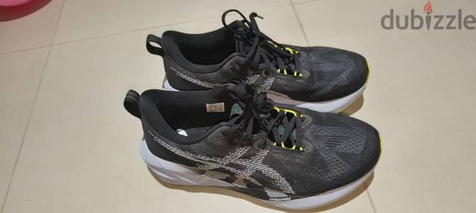 Asics novablast 5