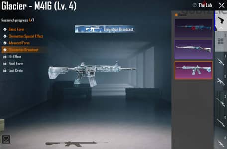 Pubg Account, M416 Lv. 4