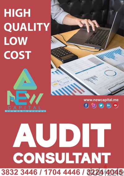 Audit Monitoring Consultant Adviser