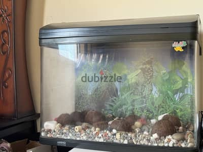 Fish tank for sale 20 bhd