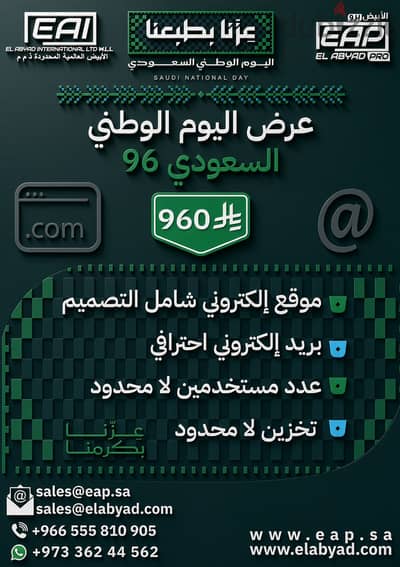 Professional Website + Professional E-mail Offer