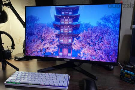 ASUS gaming monitor