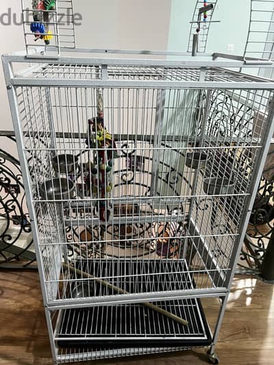 Bird Cage قفص طيور كبير