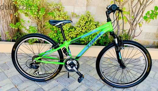 24” Trek MT 200
