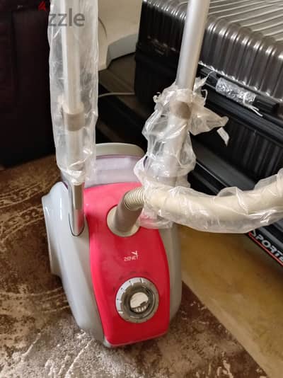 Steam iron