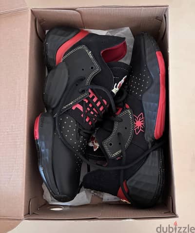 Brand new shose
