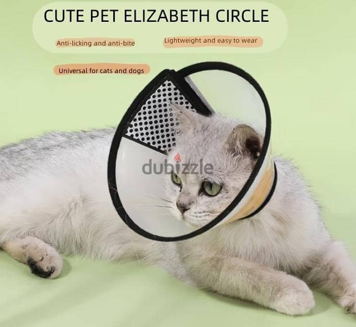 cat  all accessories with 10lbs little sand 9