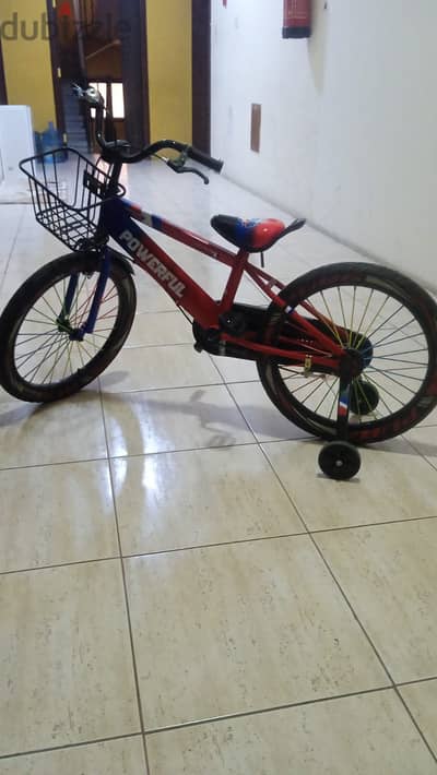 19" CYCLE