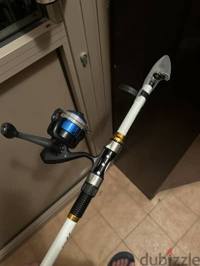 Fishing rod and reel