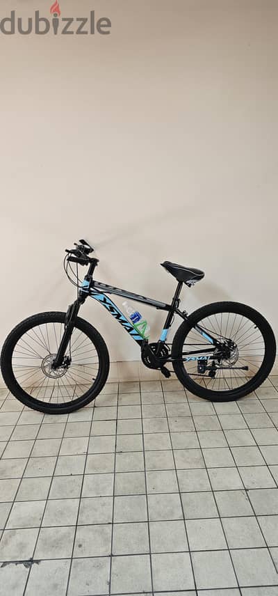 bicycle argent Sale