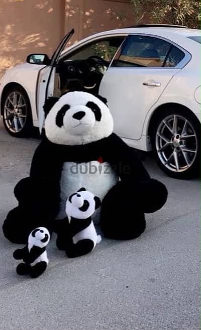 Panda for sale