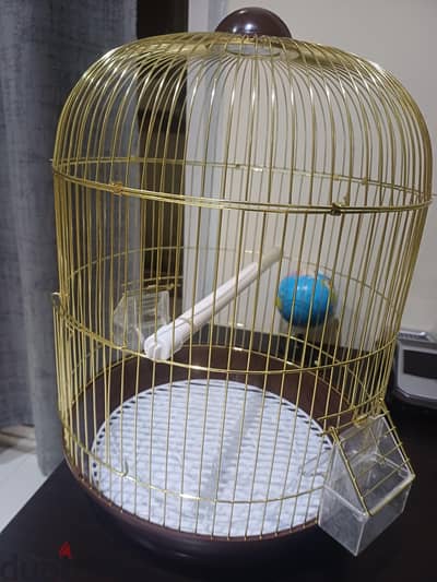 Birds Nest for sale