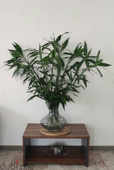 Jumbo Spanish Glass Vase & Tall Bamboo Sticks — 30 BD