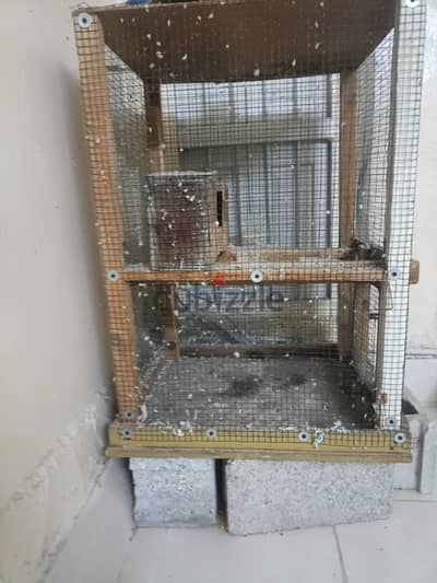 Birds cage for sale 5 bd