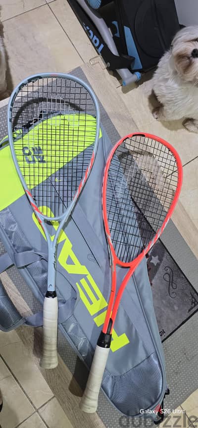 used, Head Cyber Squash Racquet with Head Bag and balls