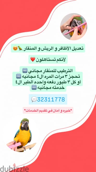 قص اظافر الطيور والمنقار والريش
