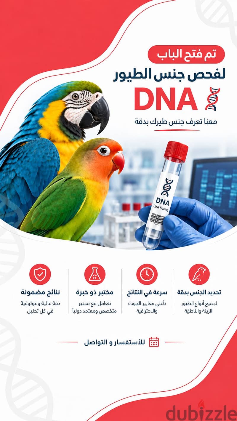 قص اظافر الطيور والمنقار والريش 1