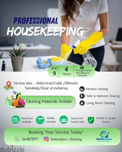 House/ Flats cleaning