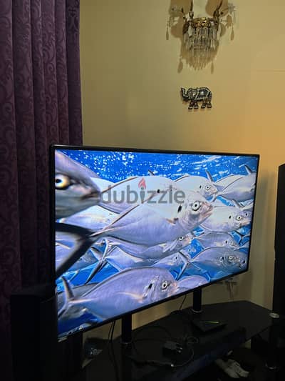 LG LED TV 58” (Not Smart)