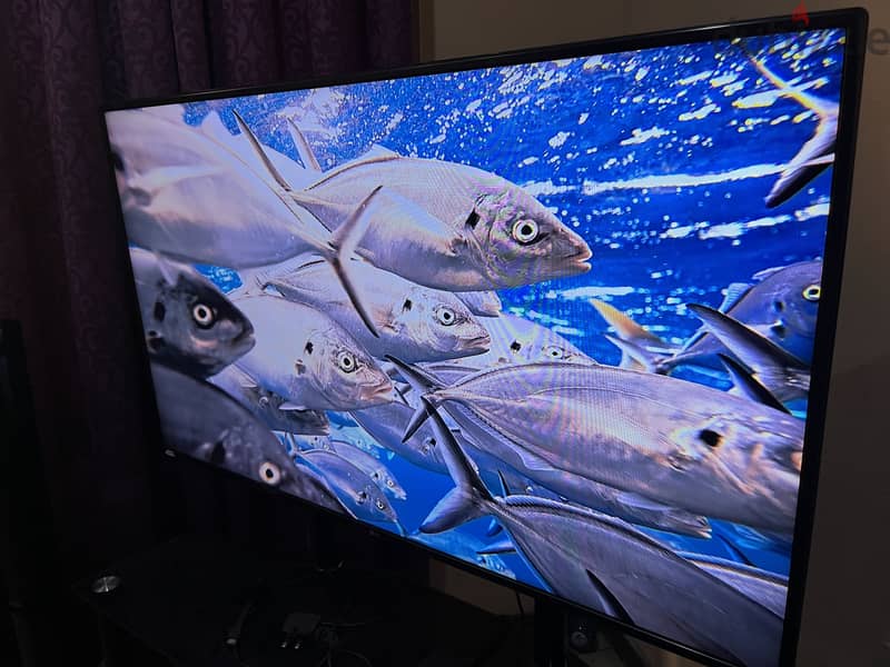 LG LED TV 58” (Not Smart) 7